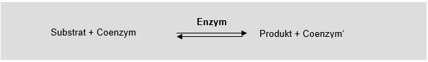 Beispiel für den Verlauf einer enzymatischen Reaktion (Regelfall)