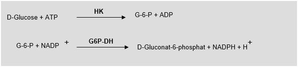 Beispiel für eine quantitative Glucose-Bestimmung mit Hilfe von Enzymen